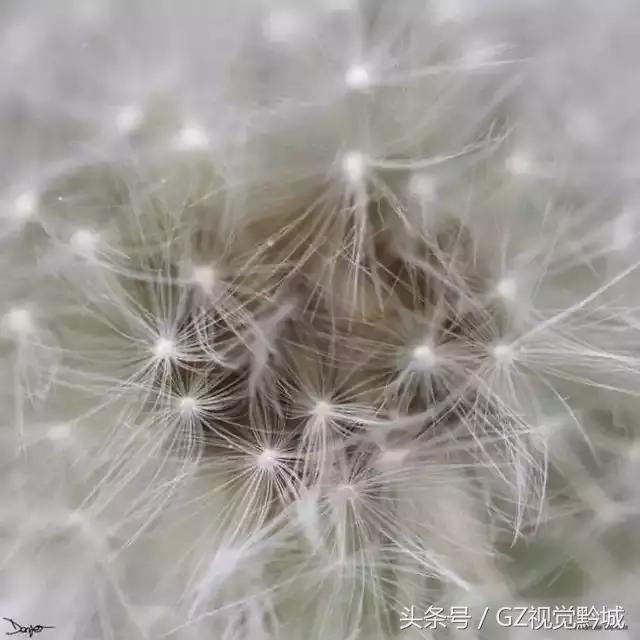 ��������������Ӱ��ΪʲôҪ���ڣ�������18��ͼ������������ʲô