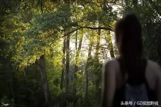 ��������������Ӱ��ΪʲôҪ���ڣ�������18��ͼ������������ʲô