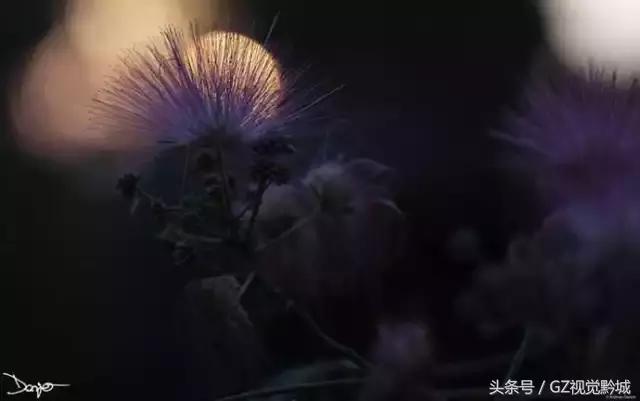��������������Ӱ��ΪʲôҪ���ڣ�������18��ͼ������������ʲô
