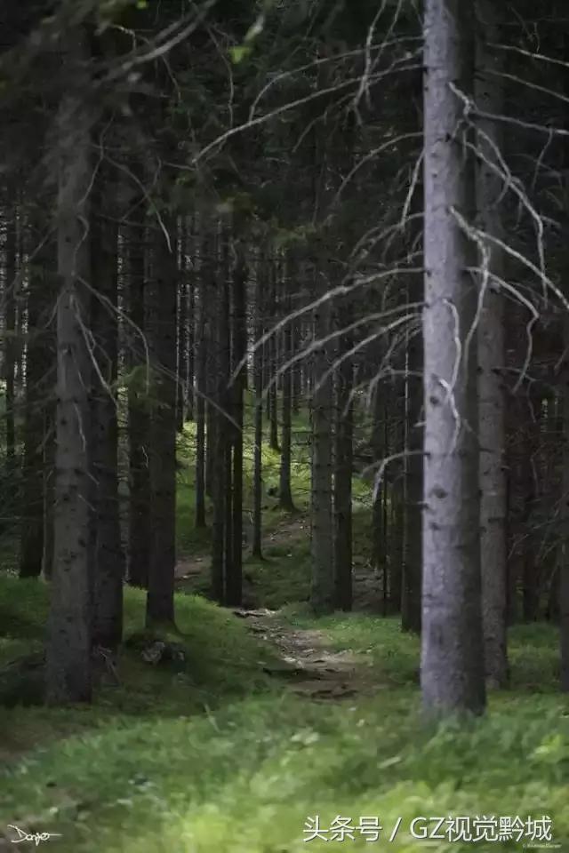 ��������������Ӱ��ΪʲôҪ���ڣ�������18��ͼ������������ʲô