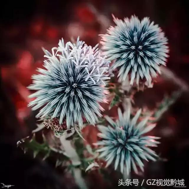 ��������������Ӱ��ΪʲôҪ���ڣ�������18��ͼ������������ʲô