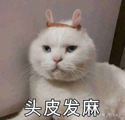 ̨�循��ɥʬ��ţ�������Ѿ���ȫ�ܼ�����ڲ�