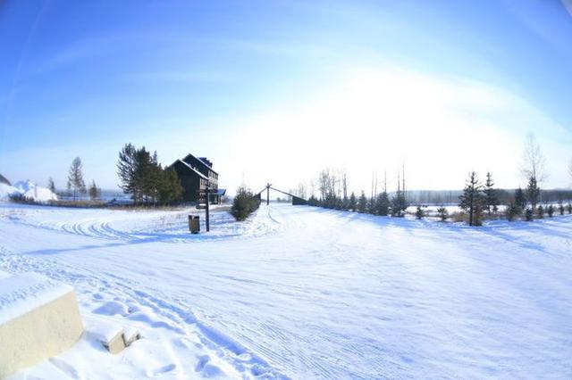 �й������ʮ���ط�����һ����Į�ӣ��������