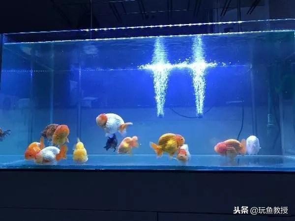 ����ϸ����ô�������֪���Ѿ���������ϸ����