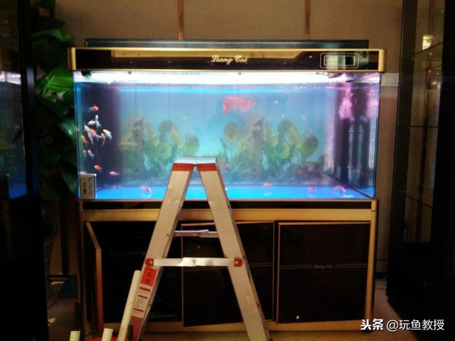 ����ϸ����ô�������֪���Ѿ���������ϸ����