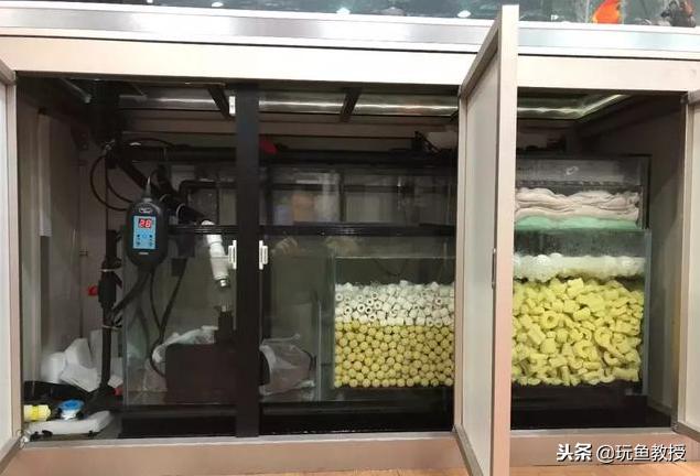 ����ϸ����ô�������֪���Ѿ���������ϸ����