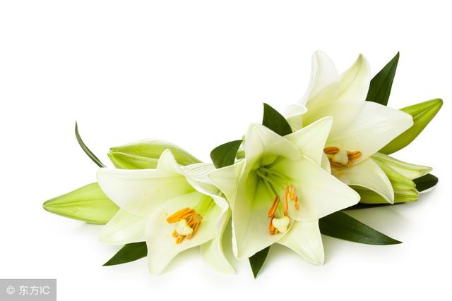 ������ֳ��ˮ�ٺϣ���ˮ�ٺϵ���ֳ����