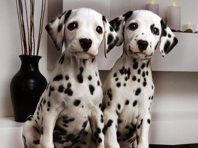 �۸�������ر������5�ֹ�����Ҫ����ˣ��Ͻ����֣�