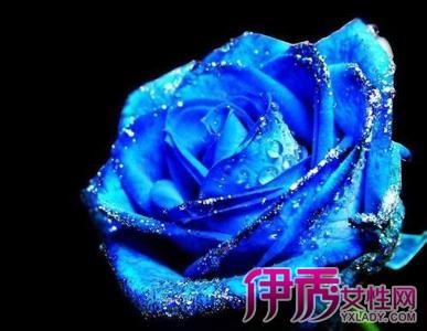 ��ɫ��������Ǯһ�� ��ɫ�����۸��ȫ