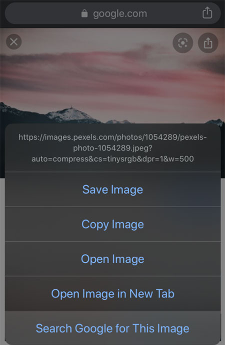 ��Google��������ͼƬ