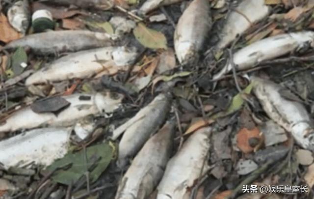 �޷��ÿ�ѧ���͵�����ʮ�������¼�������ͷ�¼���ֱ�˶�