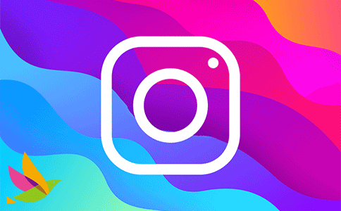 Instagram����PC�˷�������ϸ�����