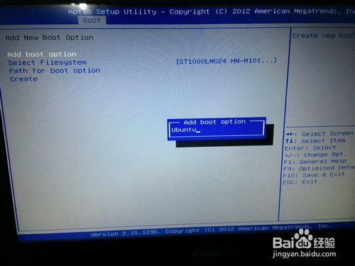 UEFI���Դ�Ӳ�̰�װUbuntu��[1]��װGrub