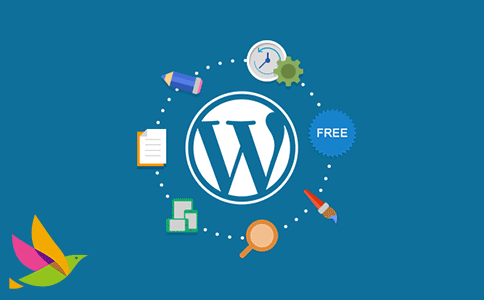 WordPress��SEO��վ��һ������