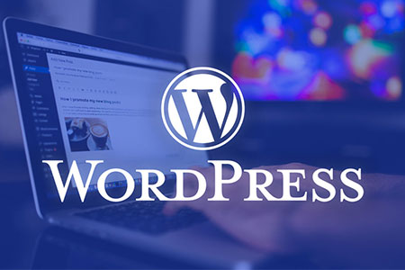 WordPress���Ż�������