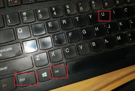 ���ǿ�������