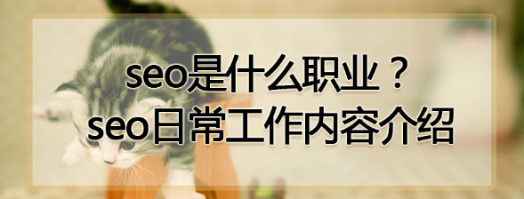 seoְҵ�ճ��������ݽ���