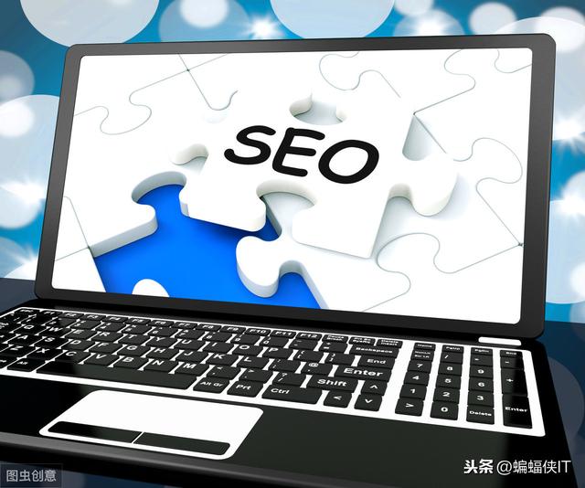 ���õ�SEOרҵ��������Щ��