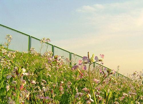 ��һ���Ա���Ҫ����Ǯ��