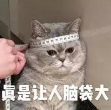 ��˾�����ˣ�Ӫҵִ����ο���ע����