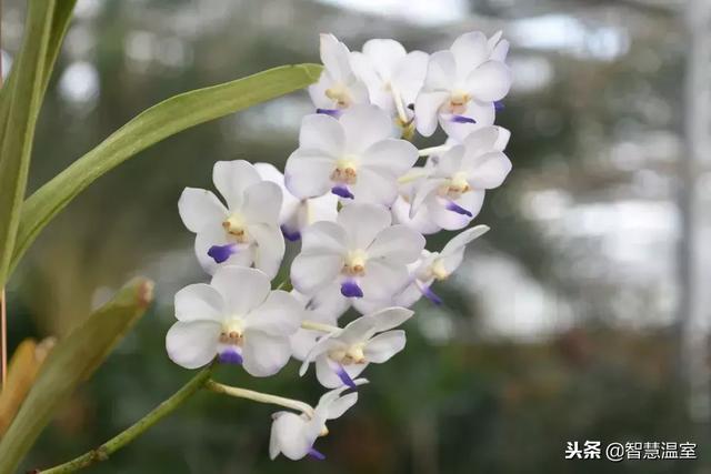 观光生态农业模式,了解一下