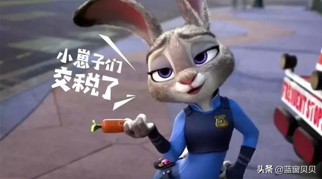 一般纳税人报税时间