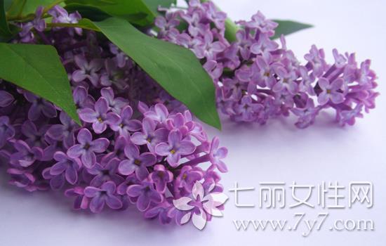 ޹�²ݾ����ӡ ���˶�ӡ���߿�