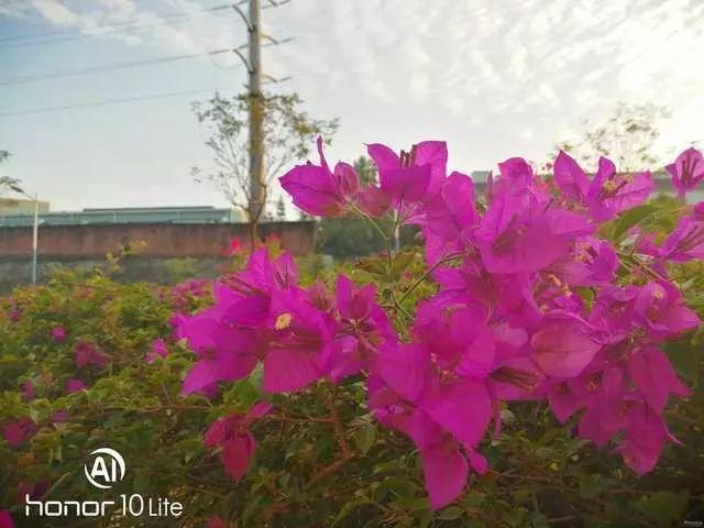 1399元荣耀10青春版值得买么?荣耀10青春版评测