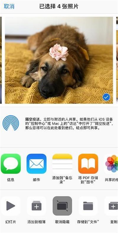 iPhone的相册管理功能居然这么强大?删掉的照片还能这样找回?