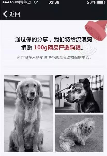 �ؼ� | 8����ý��Ӫ���ȵ�����