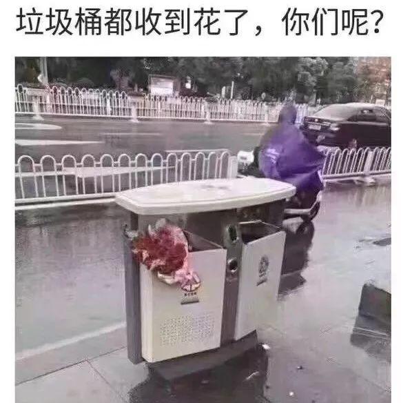 ��⡶����������Ѷ������Ѳ�ݡ��ƻ��еĵ�һ����