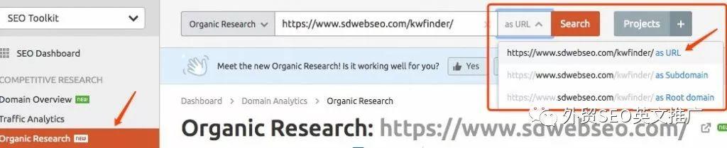 SEOʵ�٣����������������������ܽ�