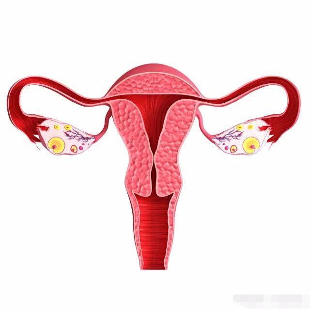 ����ʱ����3�����к��ķ�������û�п�ѧ���ݣ���������
