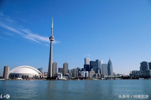 ��Ҷ֮���������ķ�Ҷ����Toronto�����׶�