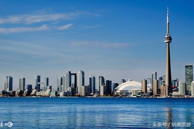 ��Ҷ֮���������ķ�Ҷ����Toronto�����׶�