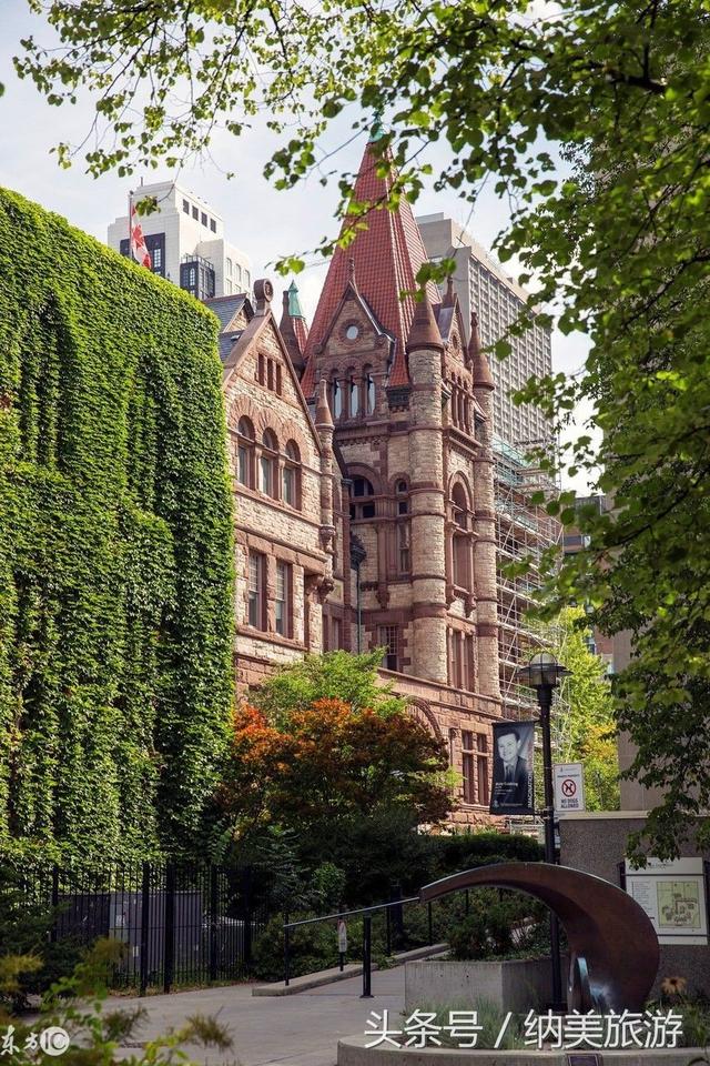 ��Ҷ֮���������ķ�Ҷ����Toronto�����׶�