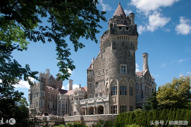 ��Ҷ֮���������ķ�Ҷ����Toronto�����׶�