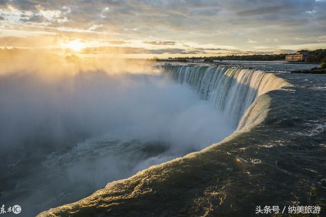 ��Ҷ֮���������ķ�Ҷ����Toronto�����׶�