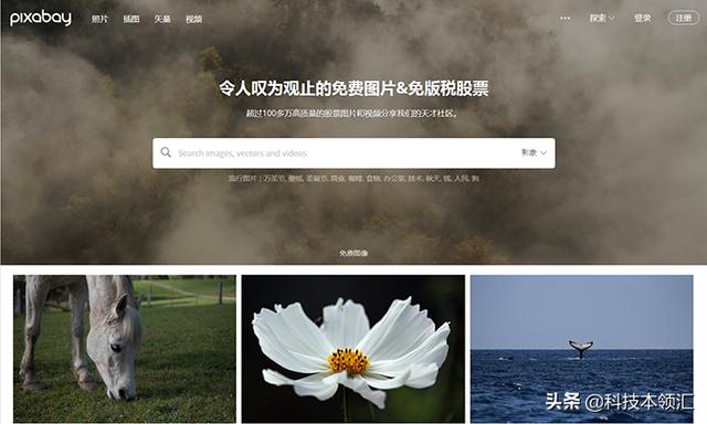 推荐7个图片素材网站,程序猿和设计狗必备,优点就是图多