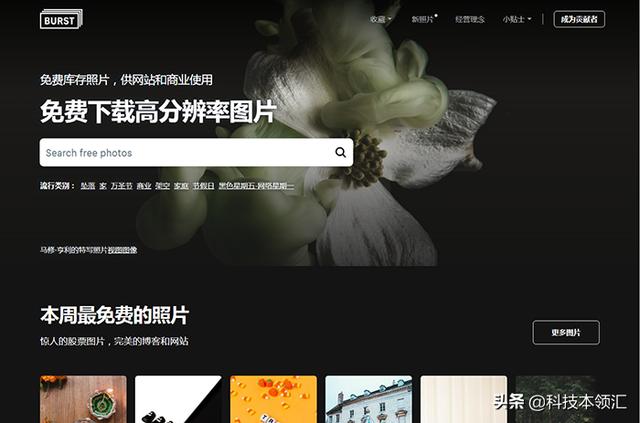 推荐7个图片素材网站,程序猿和设计狗必备,优点就是图多