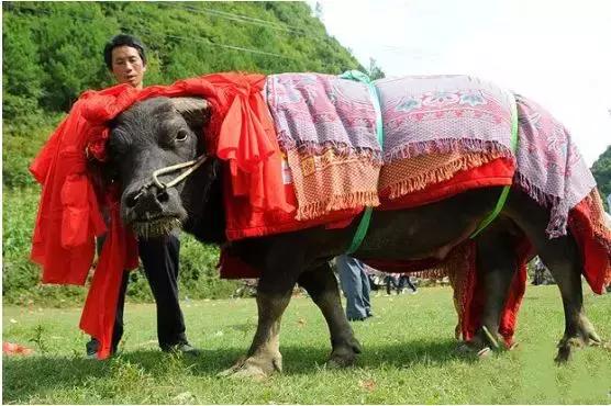 ΪʲôҪ���룿�����������ʲô��һ���ر�ļ�����������˼