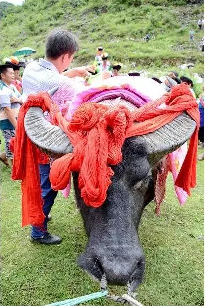 ΪʲôҪ���룿�����������ʲô��һ���ر�ļ�����������˼