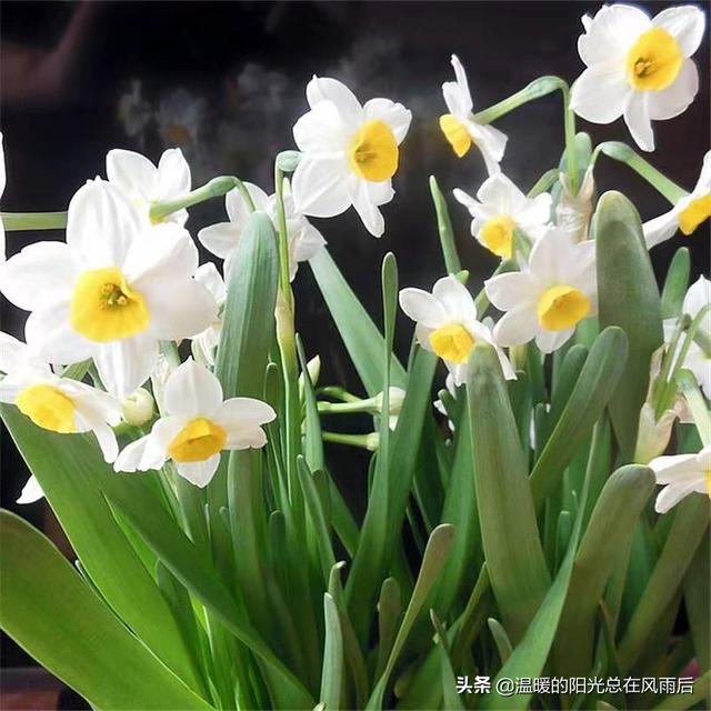 ˮ�ɻ�����ˮ����ô������ע����Щ���⣿