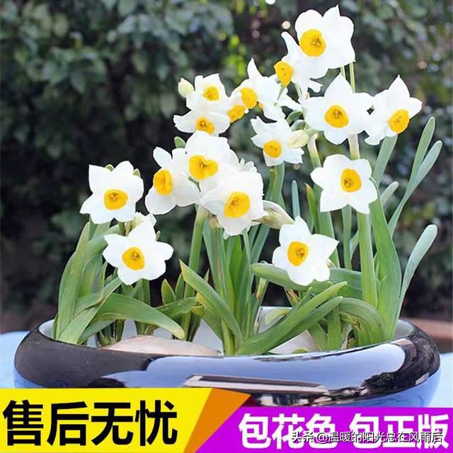 ˮ�ɻ�����ˮ����ô������ע����Щ���⣿