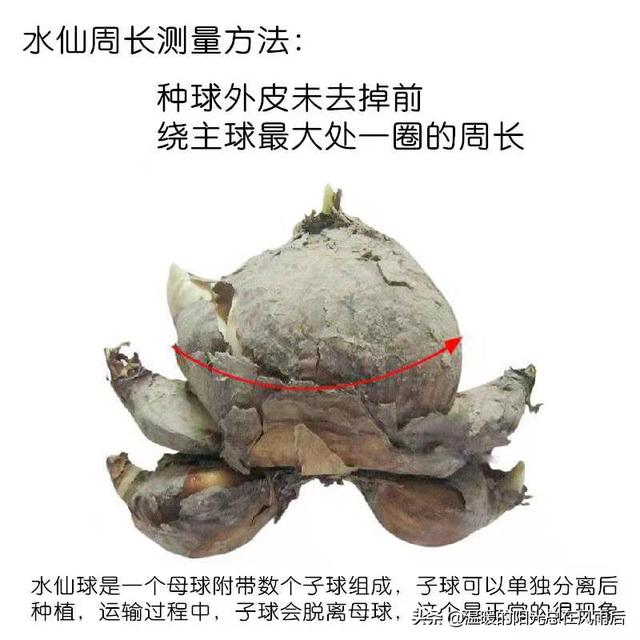 ˮ�ɻ�����ˮ����ô������ע����Щ���⣿
