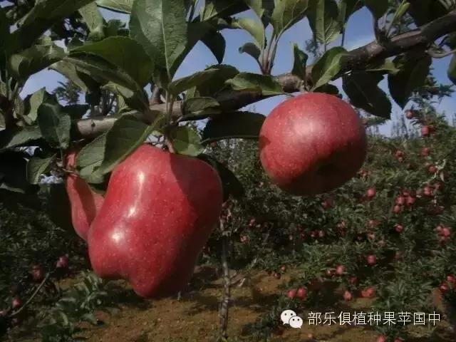 ΪʲôҪ��������ƻ�������Ĵ����˽�~