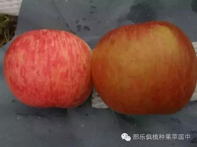 ΪʲôҪ��������ƻ�������Ĵ����˽�~