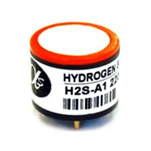 H2S����������Σ������ȫ�¹ʼ��