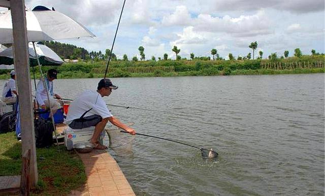 �������Ŀ�������һƪ����ȫ����
