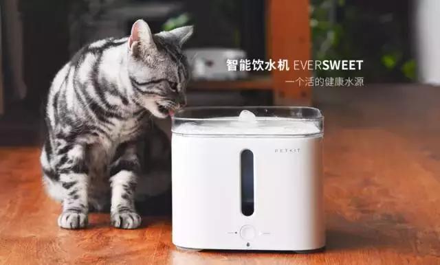 ˭����Ϊ������Ӱ����������ƷƷ�ƣ�������Χ��ҵ������飩